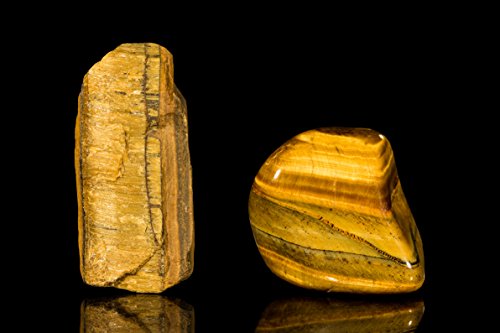 National Geographic Rock Tumbler Starter Kit (2016 Release)