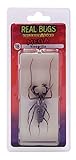 DeAgostini Real Bugs Vinagrillo Bug