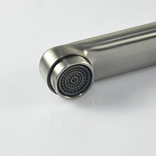 HaoXin 304 Stainless Steel Wall Mounted Pot Filler Single Cold Water Tap,Kitchen Sink Faucet Brushed Nickel HX910-304