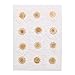 Pomeat 24pcs Daisy Pressed Flower