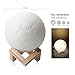 Feitenn 3D Printing Moon LED Lamp Night light Smart Touch Switch Battery Powered USB Charging 2 Modes Lunar Table Lamp with Lamp Holder Stand Kids Room Home Decor Christmas Gift (15 CM)
