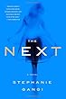 The Next: a novel of love, revenge and a ghost who can't let go