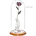 Budding 24K Rose Gifts for Her, Love Dipped Gold Real Rose Flower Preserved Eternal for Wife, Mom, Grandma for Anniversary, Mothers' Day, Birthday, Home Decor