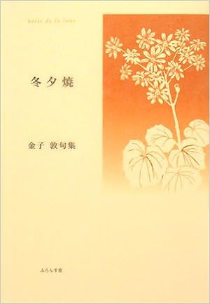 冬夕焼 金子敦句集 ふらんす堂精鋭俳句叢書 Amazon Com Books