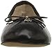 Sam Edelman Women's Felicia Ballet Flat Discontinued