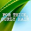 Maui-Moisture-Vegan-Hair-Mask-for-Curly-Hair-Coconut-Oil-Aloe-Vera-340-g Maui Moisture Coconut Oil Hair Mask for Curly Hair, 340g