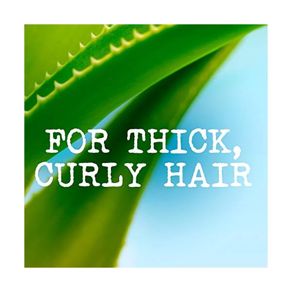 Maui-Moisture-Vegan-Hair-Mask-for-Curly-Hair-Coconut-Oil-Aloe-Vera-340-g Maui Moisture Coconut Oil Hair Mask for Curly Hair, 340g