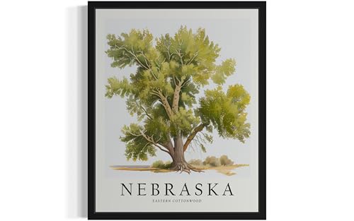 Nebraska Eastern Cottonwood Tree Black Framed Poster Wall Art Painting, US State Print Artwork, Vintage Art for Bedroom Bathroom Living Room Decor 83 (Nebraska Eastern Cottonwood, 10"L x 8"W, Black Frame) at Amazon
