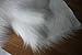 Solid Shaggy Faux Fur Fabric Long Pile Fur Costumes Cosplay Crafts Photographic Props Fake Fur Backdrops 60