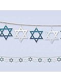 9' Prism Star of David Garland