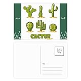 Succulents Potted Plant Cactus Pattern Good Luck