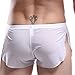 HP95(TM Men's Bikini Underwear, Sexy Boxer Shorts Briefs Trunks Style Underpants (XL, White)