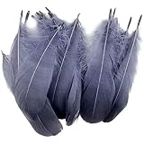 450-Piece Gray Craft Feathers - Natural Feathers For DIY, Wedding Decor, Costumes & Party Decorations