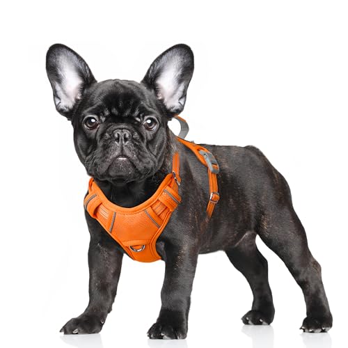 BARKBAY No Pull Dog Harness Large Step in Reflective Dog Harness with Front Clip and Easy Control Handle for Walking Training Running with ID tag Pocket(Orange,S)