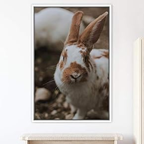 signwin Framed Canvas Wall Art Bunny Animals Bedroom...