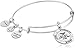 Alex and Ani Wonder Woman Logo Rafaelian Silver Bangle Bracelet