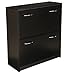 Venture Horizon Double Shoe Cabinet- Black