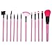 ACEVIVI 12 pcs Pro Vegan Mineral Makeup Brush Set with Pink Pouch