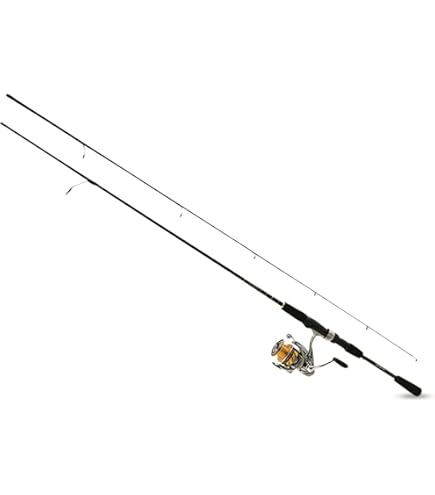 Amazon.com : Daiwa REVLT20-4BI/G665UL Fishing Rod/Reel Combo