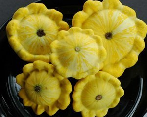 David's Garden Seeds Squash Summer Patty Pan Gold Bush Scallop QU138 (Yellow) 25 Organic Heirloom Seeds David's Garden Seeds Squash Summer Patty Pan Gold Bush Scallop QU138 (Yellow) 25 Organic Heirloom Seeds