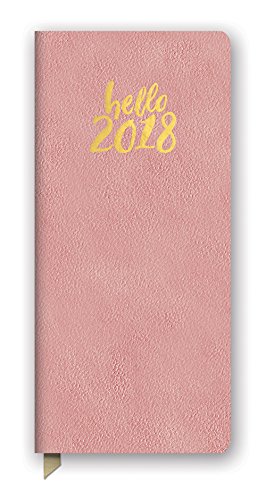 Orange Circle Studio 2018 Leatheresque Jotter Agenda, Aug. 2017 - Dec. 2018, Hello Pink