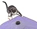 SmartyKat Hot Pursuit Cat Toy Concealed Motion Toy