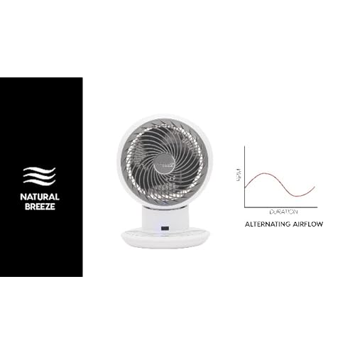 Woozoo Compact Personal Oscillating Tiendamia Com