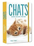 Agenda scolaire Chats by 