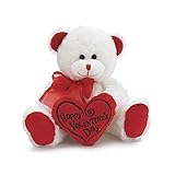 Cute Teddy Bear as Valentine's Day Gift for Your Girlfriend | hubpages