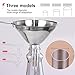 Stainless Steel Funnel, YGDZ 3pcs Mini Kitchen Funnel with Handy Handle for Transferring Essential Oils, Liquid, Fluid, Dry Ingredients & Powder, 2pcs Cleaning Brushes