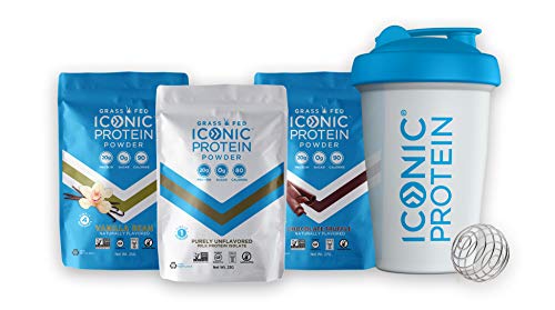 Iconic Protein Shaker Bottle (16 oz) with Stainless Steel Mixer Ball & ICONIC Grass Fed Protein Powder Single-Serve (1 Each Flavor) | Wide Mouth Flip-Cap with Leak Proof Lid | BPA-Free Iconic Protein Shaker Bottle (16 oz) with Stainless Steel Mixer Ball & ICONIC Grass Fed Protein Powder Single-Serve (1 Each Flavor) | Wide Mouth Flip-Cap with Leak Proof Lid | BPA-Free