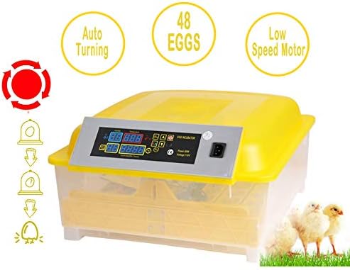 Moroly 48 Egg Incubator 80W Digital Hatching Egg Incubator for Chicken Duck Goose (US Stock) (48 Eggs-Auto)