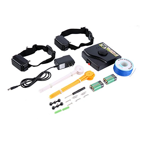 boundary dog shock collar buyer's guide