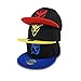 PopCrew Embroidered Team Trainer Hat for Anime Cosplay Costume, Trucker, Snapback Cap (TMS)