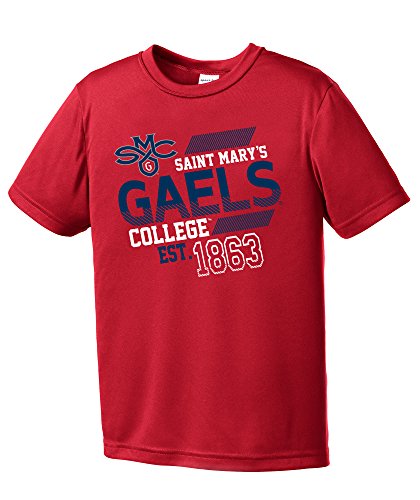 NCAA St. Mary's Rattlers Youth Boys Offsides Short sleeve Polyester Competitor T-Shirt, Youth Small,Red