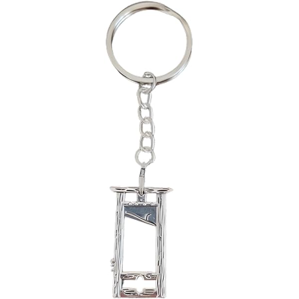 Your Day Mate Set De Desbloqueo Universal Para Carros De La Compra, 2 Piezas: Chip Para Modelos De Cargador Frontal Y Cajón Lateral, De Acero Inoxidable Con Mosquetón, Ideal Para Llavero Y Regalo Práctico
