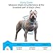 TIANYAO Dog Harness No Pull Reflective Oxford Material Soft Pet Vest Adjustable for Large Dogs Easy Control Harness with Dog Collar (XL)