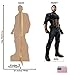 Captain America - Marvel's Avengers: Infinity War (2018 Film) - Advanced Graphics Life Size Cardboard Cutout Standup