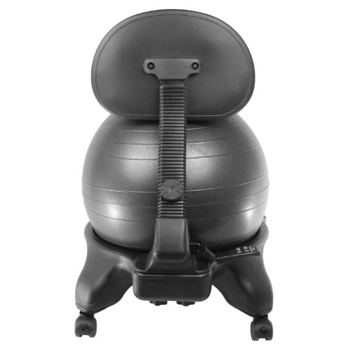 Sivan Adjustable Back Balance Ball Chair with Ball and Pump