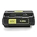 Amityke 40V 4.0Ah Lithium-Ion Battery Compatible with Ryobi 40 Volt Battery OP4015 OP4026 OP40201 OP40261 OP4030 OP40301 OP4040 OP40401 OP4050 OP40501 OP40601