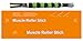 Sports Massager Roller Stick For Deep Tissue Myofascial Massage Therapy. Muscle Roller Stick Relieves Soreness, Tightness and Cramps. Loosens Muscles and Increases Circulation. Myofascial Blaster.