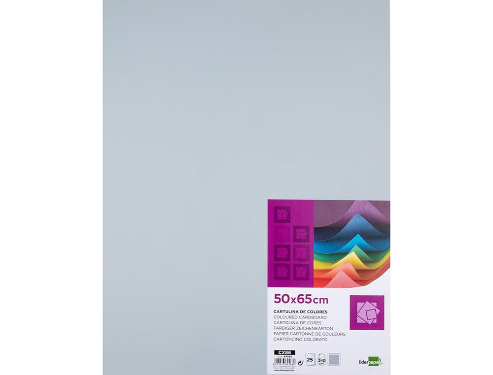 Liderpapel CX86 – Pack of 25 Cardstock, 50 x 65 cm, Grey
