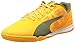 PUMA Men's Evospeed Sala Soccer Shoe