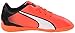 PUMA Adreno Indoor Jr Soccer Shoe