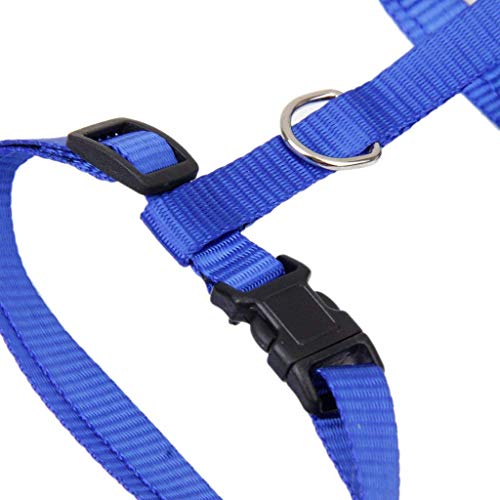 NiceButy Adjustable Pet Cat Kitten Belt Collar Leash Harness Safety Strap Traction Rope (Blue) - Thumbnail 2
