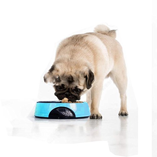 Cheap Pet Feeder Balakie 6 Meals Programmable Timer Portion