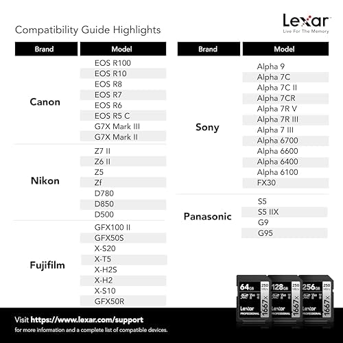 Lexar 128GB Professional 1667x SD Card, UHS-II, C10, U3, V60, Full HD, 4K, Up To 250MB/s Read SDXC Memory Card, for Professional Photographer, Videographer, Enthusiast (LSD128CBNA1667)