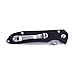 Ganzo Firebird G714 Pocket Folding Knife G-10 Handle SS Blade Hunting Fishing Outdoor EDC Tool (Black)