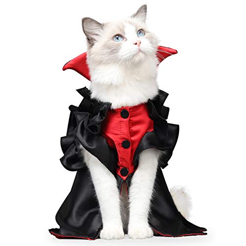 cat dressing up