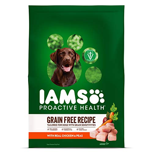 tiny chihuahua clothes